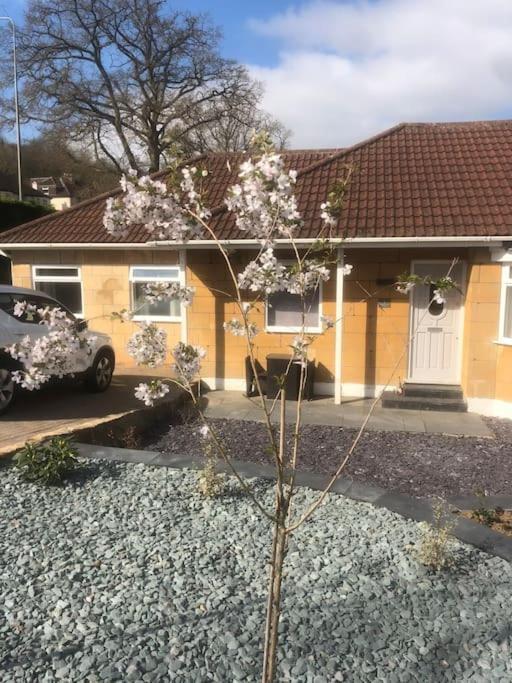 Quiet And Cosy Flat, Close To Bath Centre Exteriér fotografie